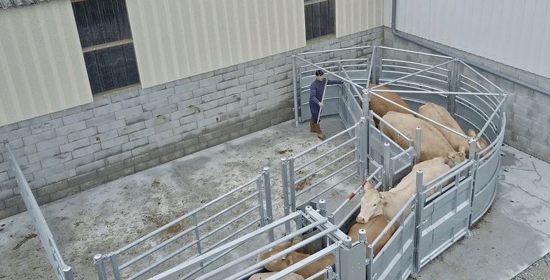 Materiels - Cage de contention - 1/2 CORRAL DE CONTENTION COMPLET HORAIRE SUR PLATINE V2