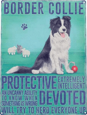 Objets publicitaires - Objets publicitaires divers - Plaque border collie