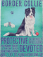 Plaque border collie