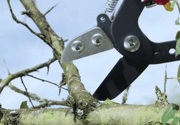 Pièces agricoles - Cloture,Jardin & Sylviculture - Echenilloir orientable, coupe enclume 40mm
