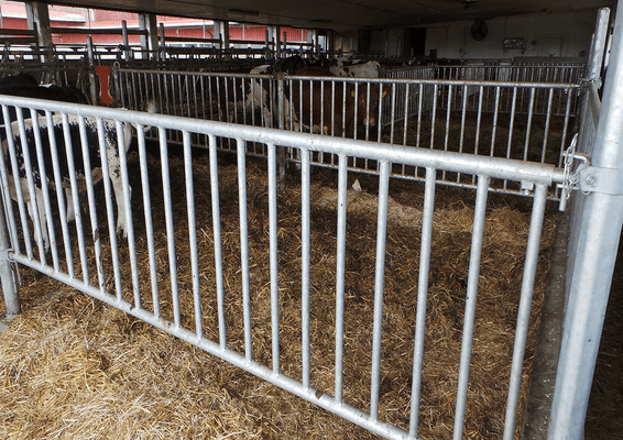 Materiels - Accessoires 200Kg-300Kg - PACK DE 6 SEPARATIONS VEAU H.0.80M DE 3M