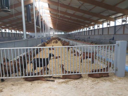 Materiels - Matériel d'élevage - autre - SEPARATION CHEVRE 5M