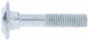 Vis TRCC DIN603 M12x60 8.8