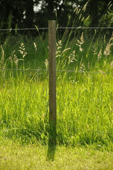 Pièces agricoles - Cloture,Jardin & Sylviculture - Piquet coin 2,00m Insultimber