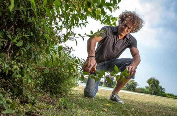 Pièces agricoles - Cloture,Jardin & Sylviculture - Sécateur taille L