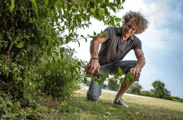Pièces agricoles - Cloture,Jardin & Sylviculture - Sécateur taille L