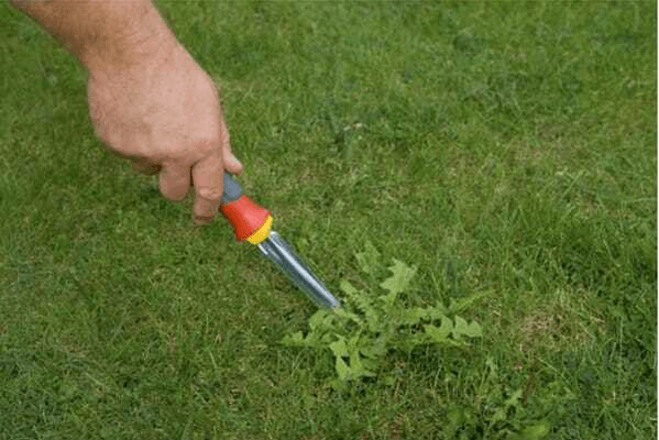Pièces agricoles - Cloture,Jardin & Sylviculture - Couteau