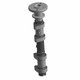 CAMSHAFT-EXH Polaris origine