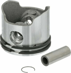 Pièces agricoles - Jardin et forêt pièce origine - Piston