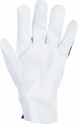 Vêtements et protections - Equipement - Gants Kramp 3.009 11/XXL