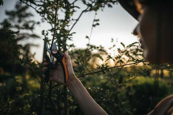 Pièces agricoles - Cloture,Jardin & Sylviculture - Sécateurs à lame franche, Plus PowerLever, P721