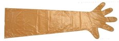 Gants jetables VETbasic 100pcs orange