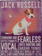 Plaque jack russel