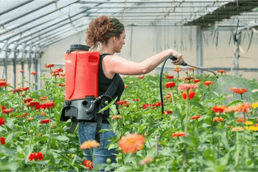 Pièces agricoles - Jardin et forêt pièce origine - Pulvérisateur à dos 15l