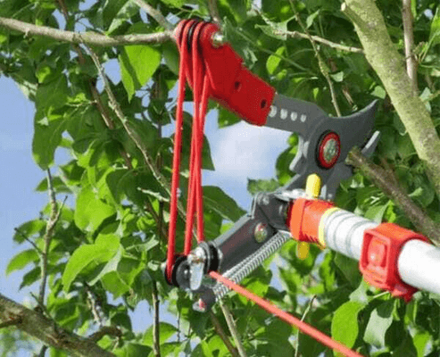 Pièces agricoles - Cloture,Jardin & Sylviculture - Echenilloir orientable, coupe franche 36mm