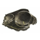 Couvre carter embrayage LIGHTECH carbone brillant