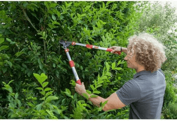 Pièces agricoles - Cloture,Jardin & Sylviculture - Elagueur téléscopique coupe franche
