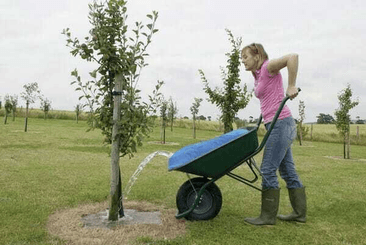 Pièces agricoles - Cloture,Jardin & Sylviculture - Réservoir d'eau pour brouette 80L