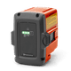 Batteries BLi10