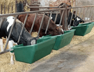 Pièces agricoles - Cloture,Jardin & Sylviculture - Auge à suspendre 100cm 180l model 1800