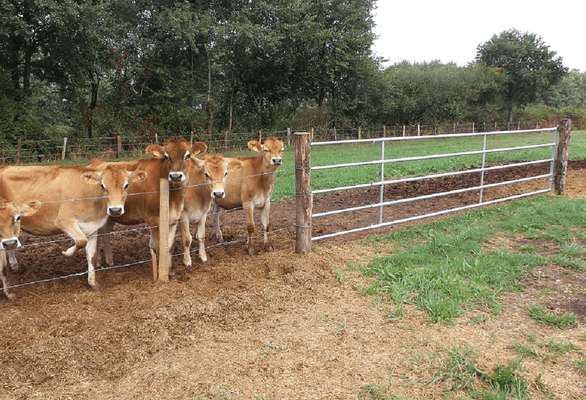 Materiels - Cage de contention - PACK DE 14 ARRIERES HERBAGE 5/6M L.4.50M