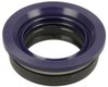 Joint Duj