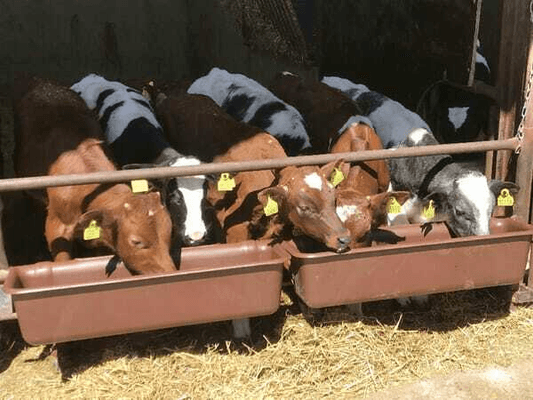 Pièces agricoles - Cloture,Jardin & Sylviculture - Auge à suspendre 100cm 42l model 1000