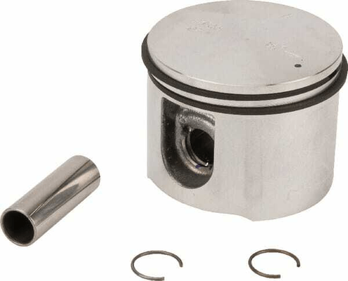 Pièces agricoles - Jardin et forêt pièce origine - Piston