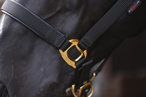 Pièces agricoles - Cloture,Jardin & Sylviculture - Topline Cob noir