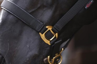 Pièces agricoles - Cloture,Jardin & Sylviculture - Topline Cob noir
