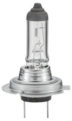 Pièces agricoles - Eclairage - Ampoule 12V 55W H7 PX26d