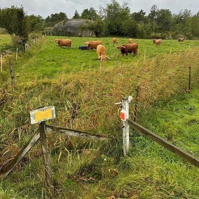 Pièces agricoles - Cloture,Jardin & Sylviculture - FenceAlarm2
