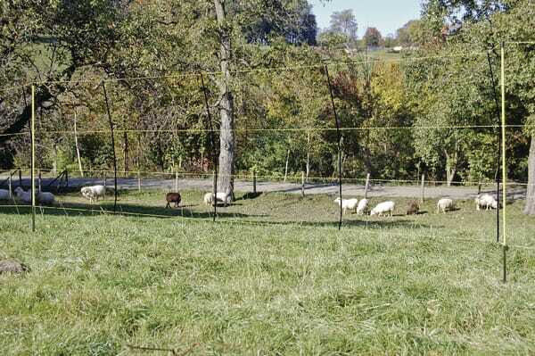 Pièces agricoles - Cloture,Jardin & Sylviculture - Filet EasyNet 50m 105cm ovin