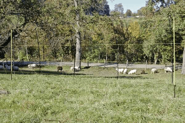 Pièces agricoles - Cloture,Jardin & Sylviculture - Filet EasyNet 50m 105cm ovin