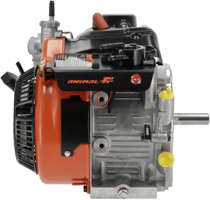 Pièces agricoles - Moteurs pièce origine - Moteur, horizontal, 8.8 CV, Série Karting 206, Briggs & Stratton