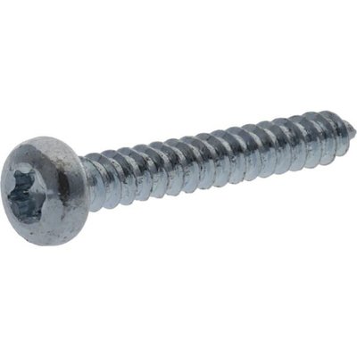 Pièces agricoles - Fasteners - Vis auto perforatrice torx 3,5x25 mm
