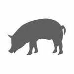 Pièces agricoles - Cloture,Jardin & Sylviculture - Auge à fixer 18L