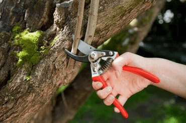 Pièces agricoles - Cloture,Jardin & Sylviculture - Sécateur 30mm