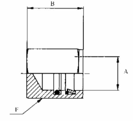 Pièces agricoles - Hydraulique - Bouchon WEO 16mm