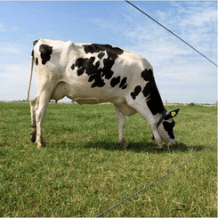 Pièces agricoles - Cloture,Jardin & Sylviculture - Fil aluminisé HT 1,8 mm 1250 m