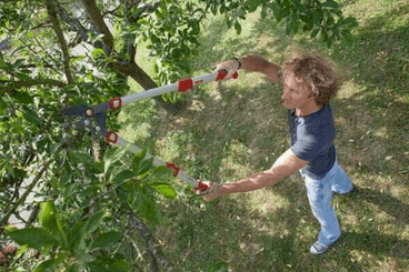 Pièces agricoles - Cloture,Jardin & Sylviculture - Elagueur téléscopique coupe mixte