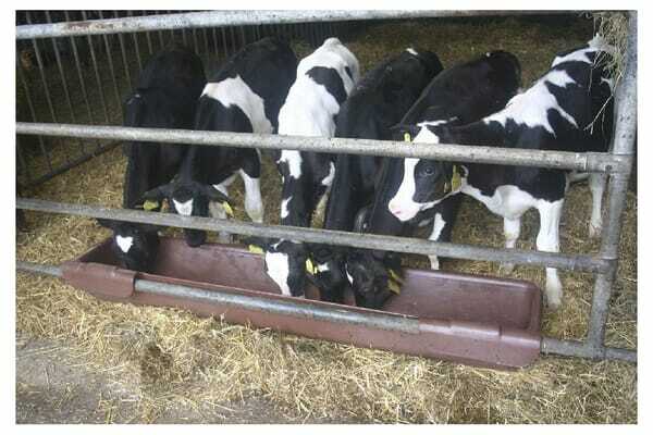 Pièces agricoles - Cloture,Jardin & Sylviculture - Auge à suspendre 200cm 100l model 2000