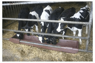 Pièces agricoles - Cloture,Jardin & Sylviculture - Auge à suspendre 200cm 100l model 2000