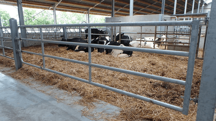 Materiels - Cage de contention - PACK DE 12 ARRIERES EX4 4/5M L.3.50M