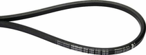 Courroie trapézoïdale double