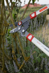 Pièces agricoles - Cloture,Jardin & Sylviculture - Elagueur coupe mixte 45mm