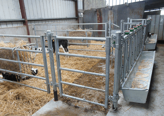 Materiels - Accessoires 20Kg-30Kg - AUGE METALLIQUE POUR CORNADIS VEAU 5P.