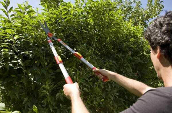 Pièces agricoles - Cloture,Jardin & Sylviculture - Taille-haie