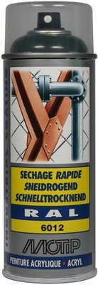 Chimie - Chimie divers - RAL 6012 spray vert noir