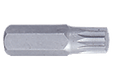 Embout tournevis XZN 12mm L: 36mm